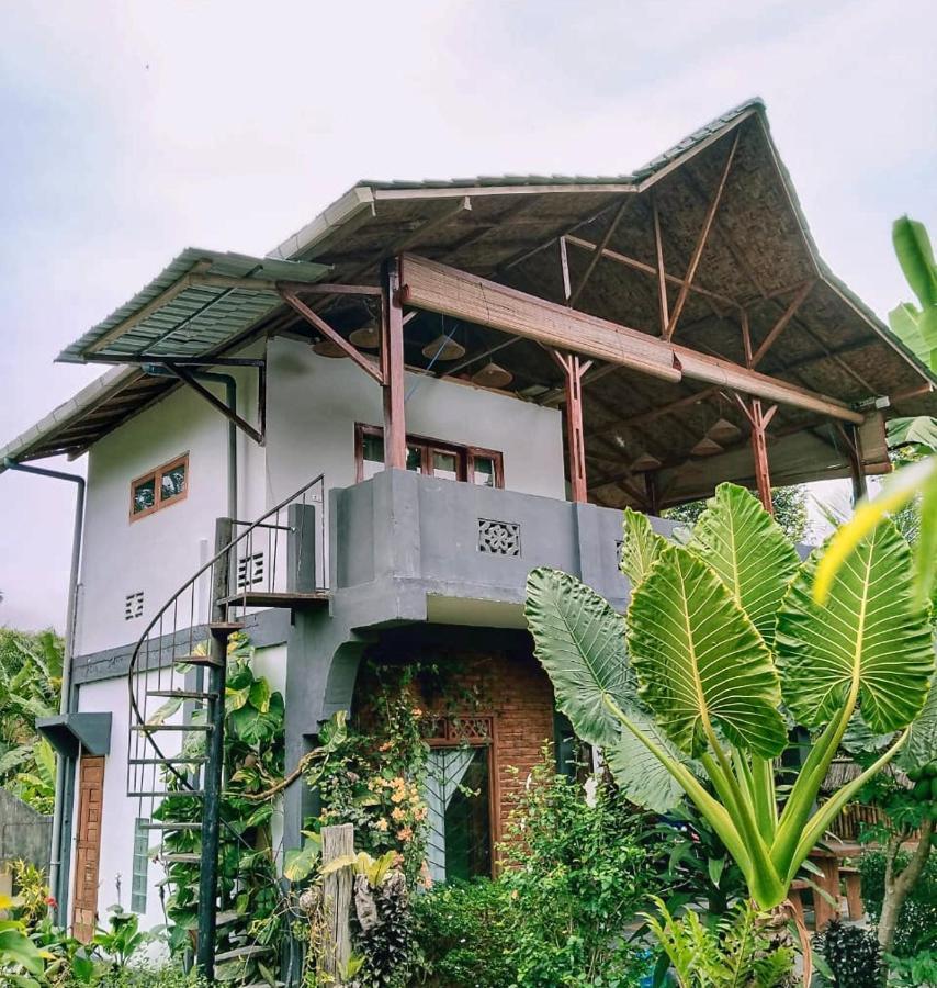 Sumatra Orangutan Discovery Villa 부킷 라왕 외부 사진