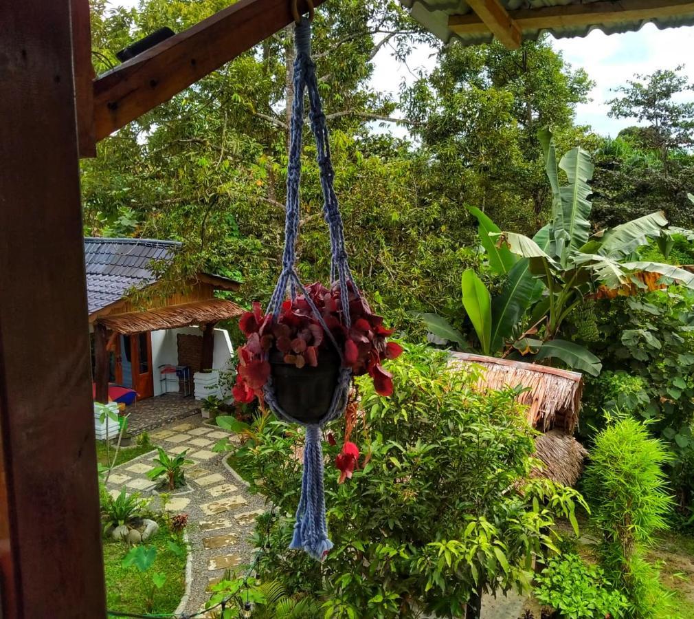 Sumatra Orangutan Discovery Villa 부킷 라왕 외부 사진